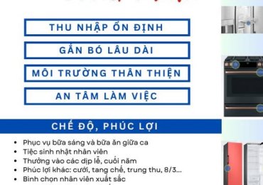 pavonine tuyển dụng