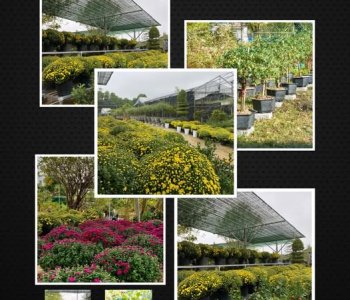 Sam Garden tuyển nhân viên làm vườn