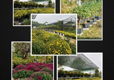 Sam Garden tuyển nhân viên làm vườn