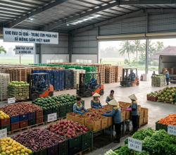 TUYỂN NHÂN SỰ – KHO RAU CỦ QUẢ (CHÂU ĐỐC)