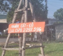 cắt cỏ
